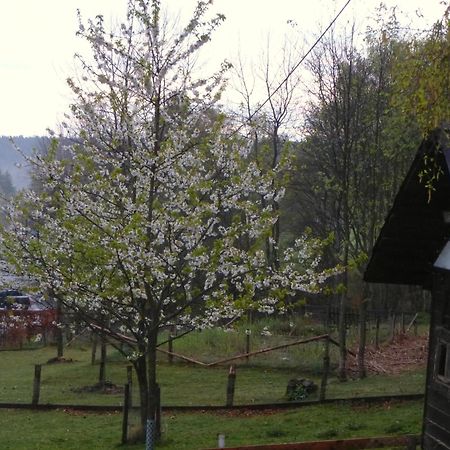 Apartamento Haus Sonnentau Monschau Exterior foto